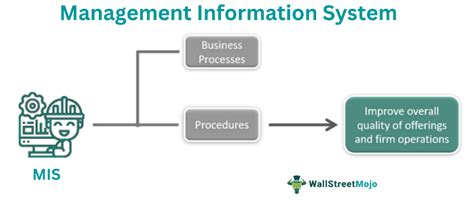 davnor hris|Management Information System (MIS).
